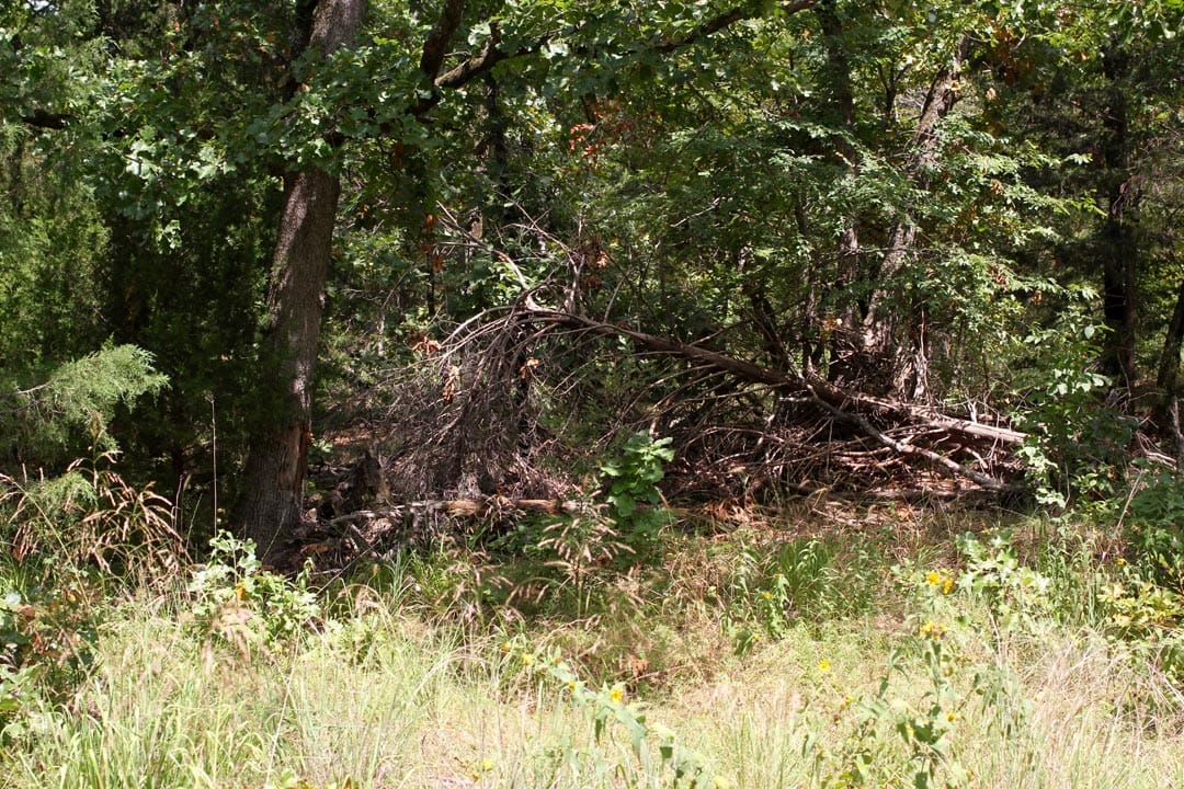 Lakeview Private Reserve Tract 3 photo 6
