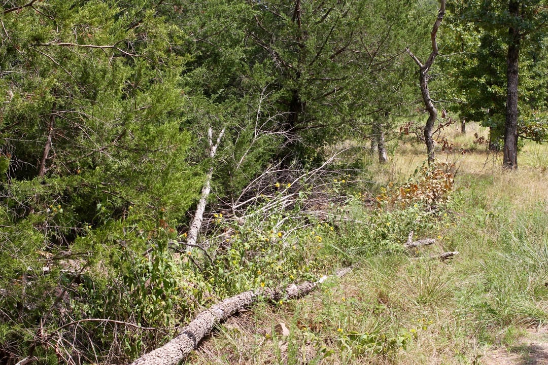 Lakeview Private Reserve Tract 3 photo 7