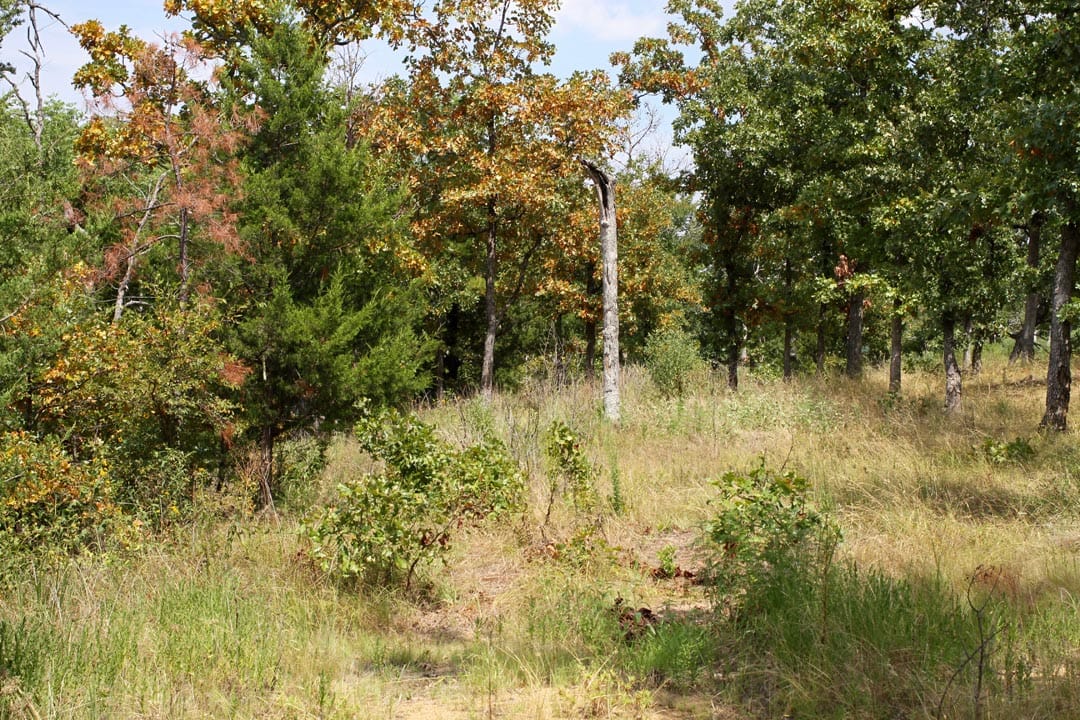 Lakeview Private Reserve Tract 3 photo 8