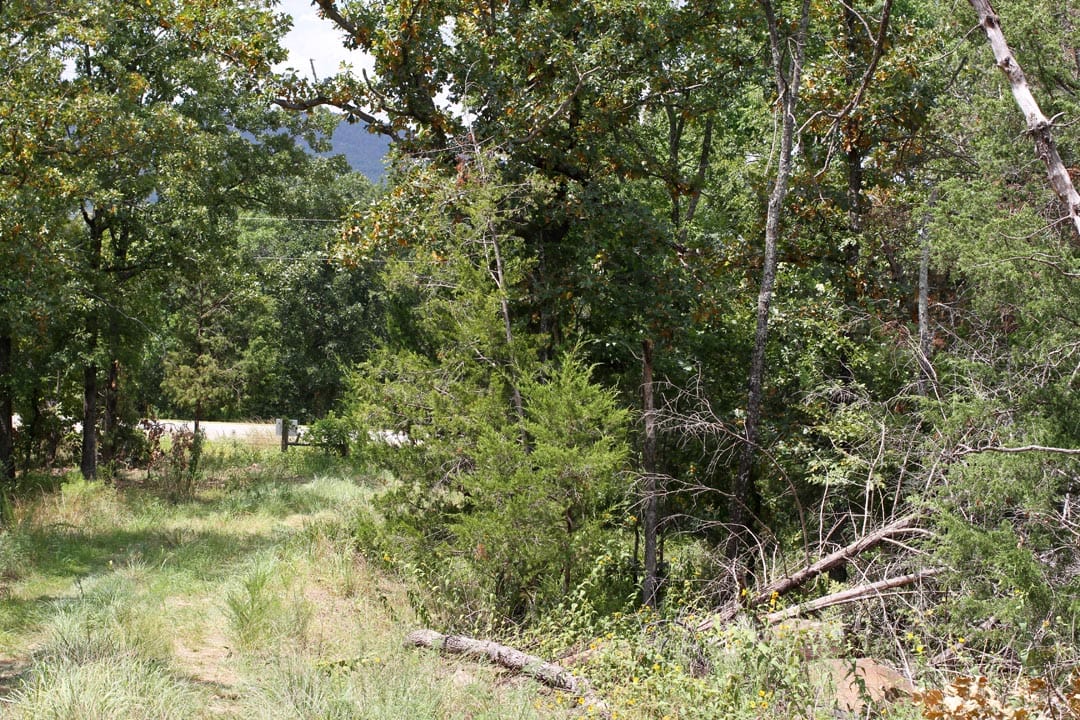 Lakeview Private Reserve Tract 3 photo 9