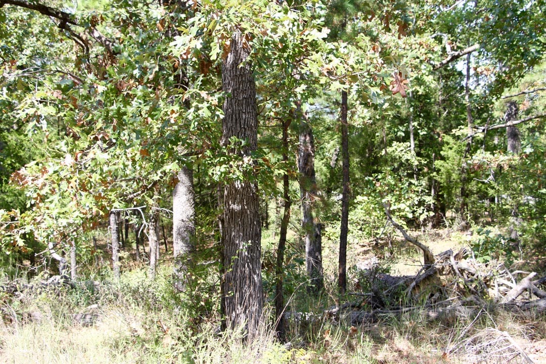Lakeview Private Reserve Tract 3 photo 10