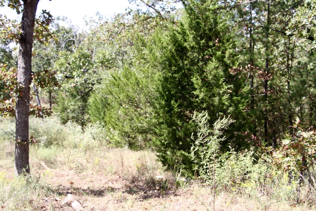 Lakeview Private Reserve Tract 3 photo 11