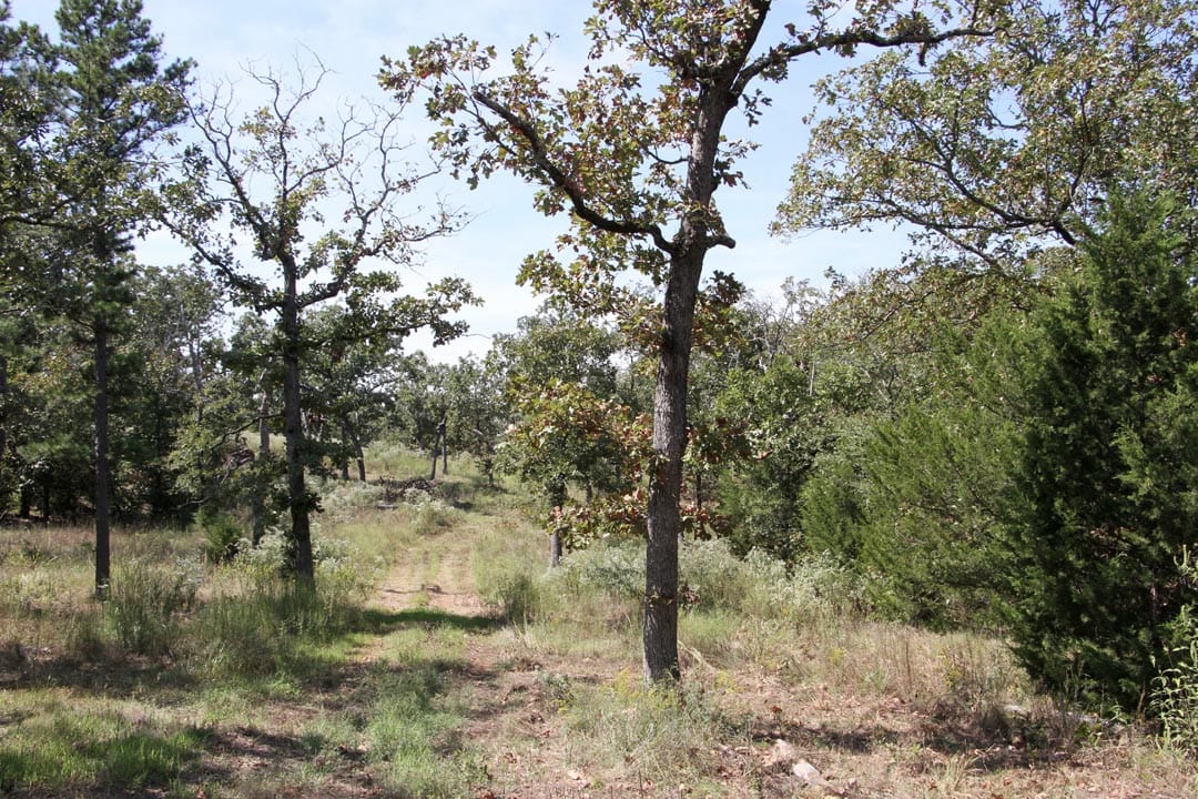 Lakeview Private Reserve Tract 3 photo 12