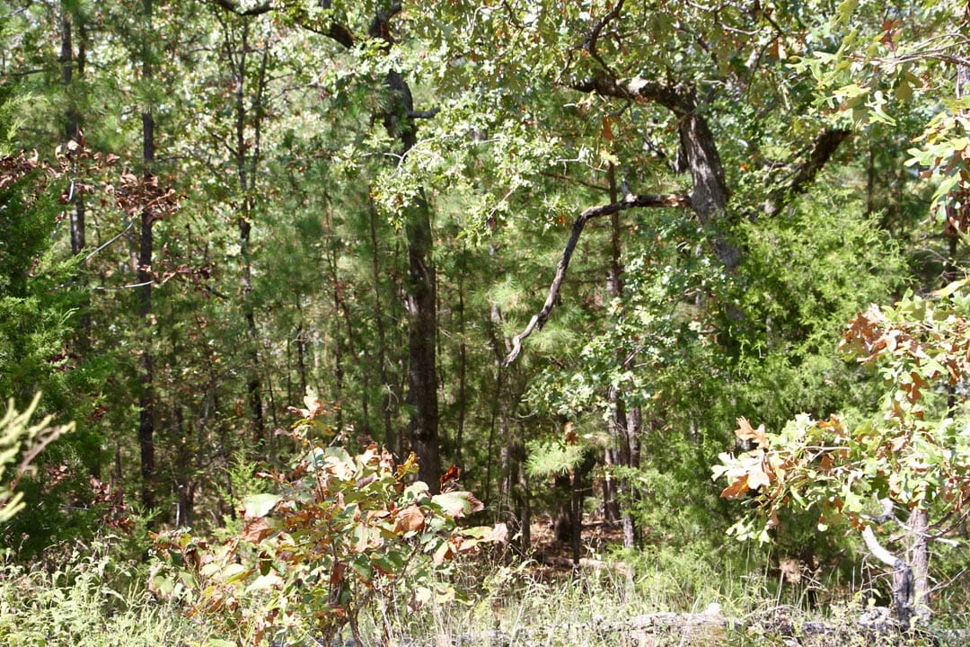 Lakeview Private Reserve Tract 3 photo 13