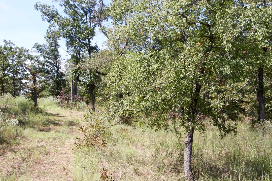 Lakeview Private Reserve Tract 3 photo 14