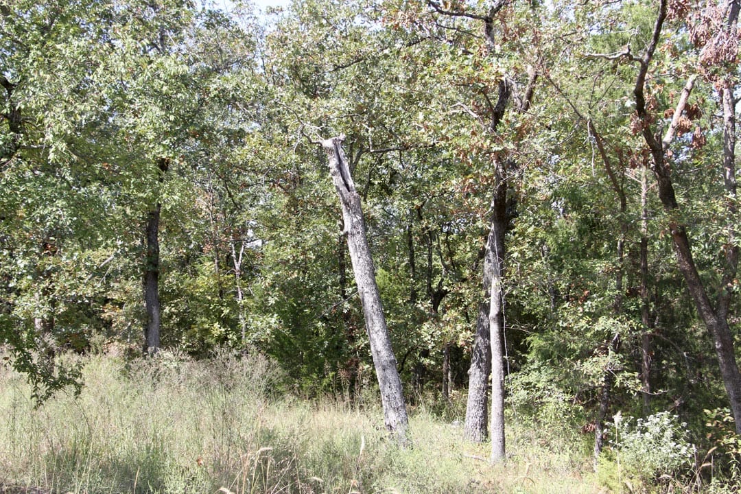 Lakeview Private Reserve Tract 3 photo 15