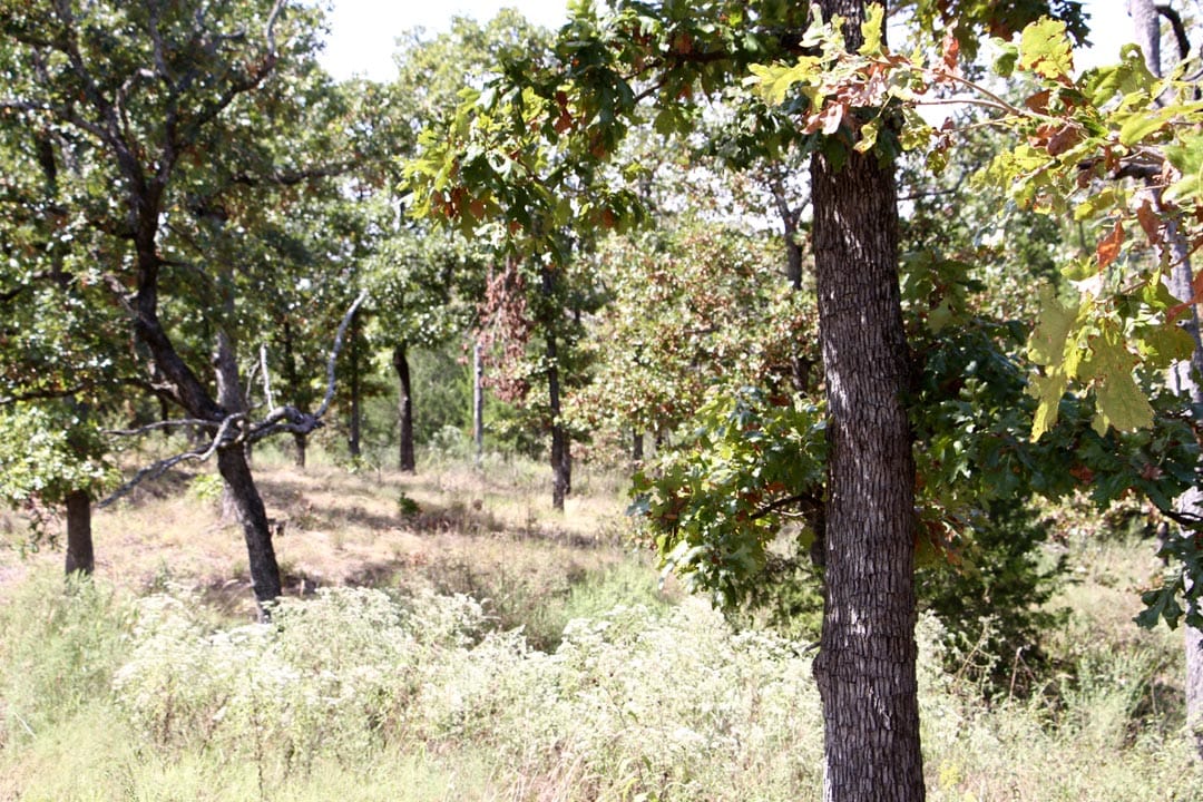 Lakeview Private Reserve Tract 3 photo 16