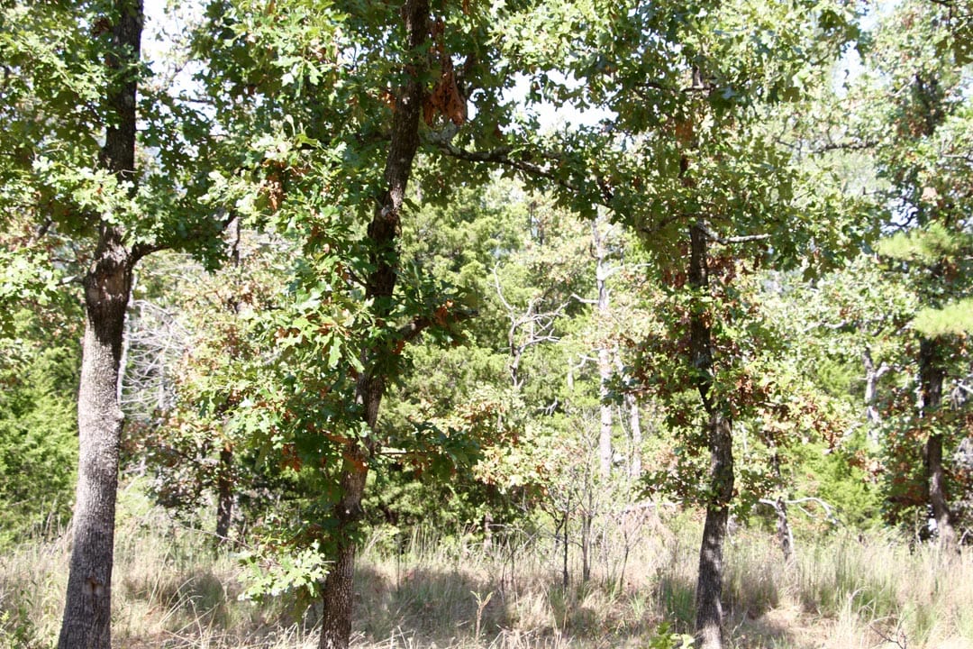 Lakeview Private Reserve Tract 3 photo 17