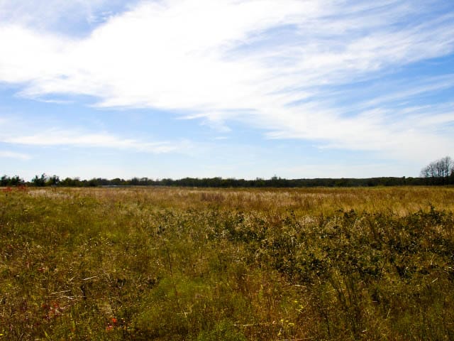 Saddlebrook Ranch Tract 11 photo 2