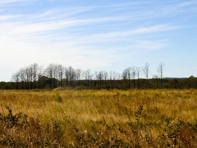 Saddlebrook Ranch Tract 11 photo 3