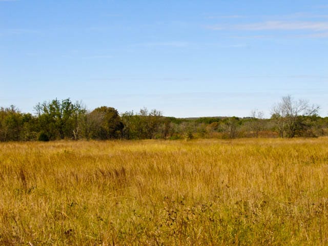Saddlebrook Ranch Tract 11 photo 5