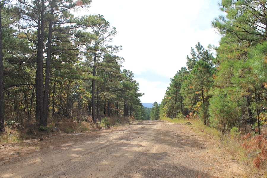 Indian Ridge – Phase III Tract 122 photo 6
