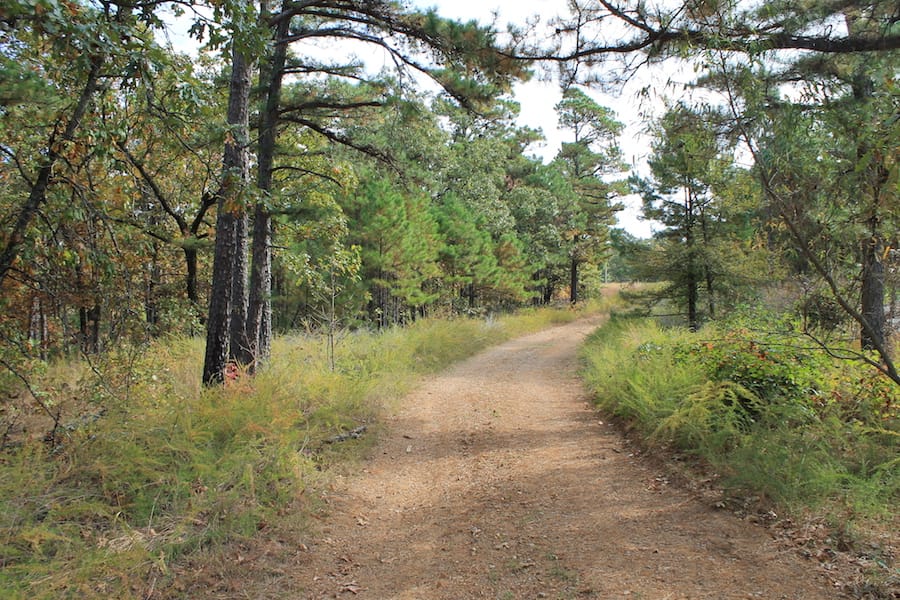 Indian Ridge – Phase III Tract 122 photo 2