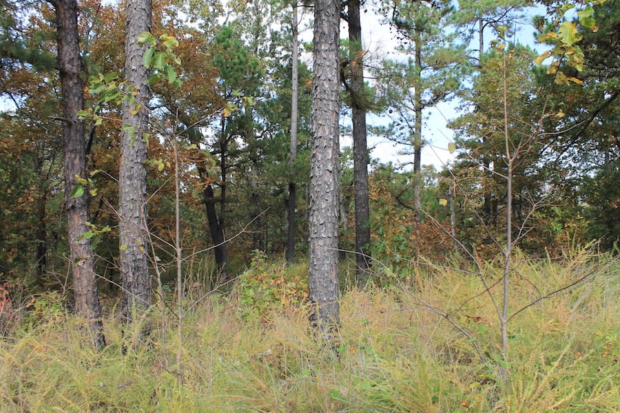 Indian Ridge – Phase III Tract 122 photo 3