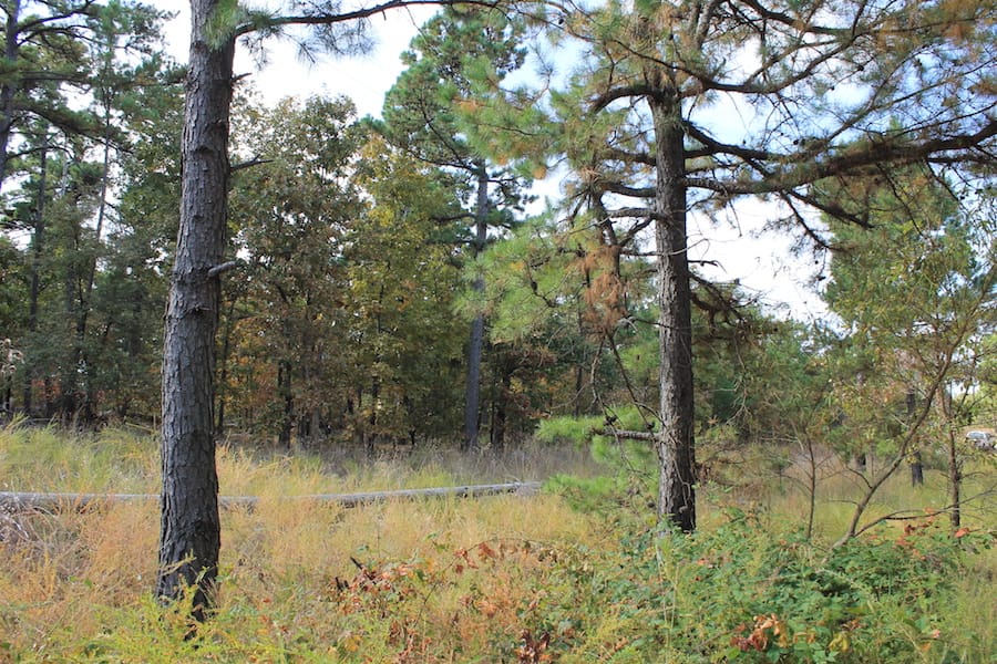 Indian Ridge – Phase III Tract 122 photo 4