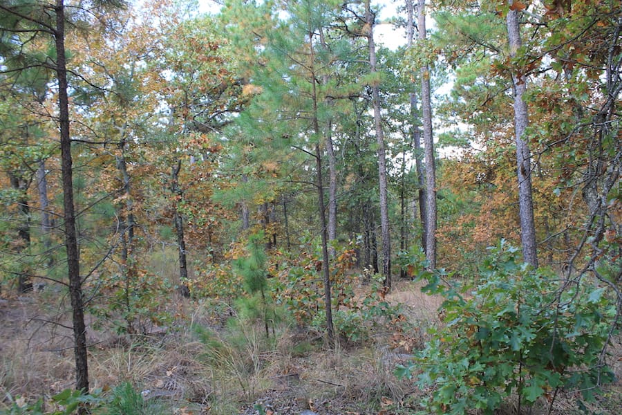 Indian Ridge – Phase III Tract 122 photo 5