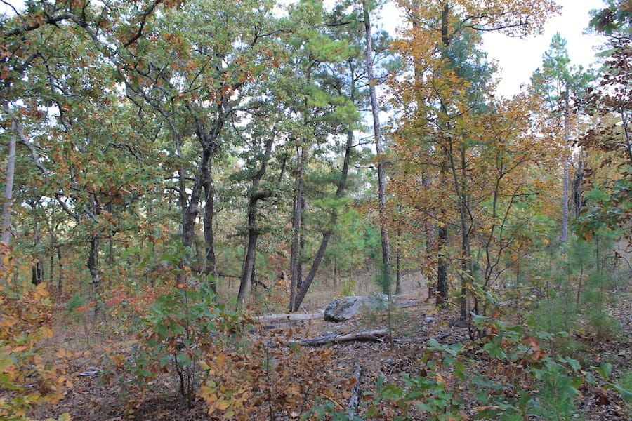 Indian Ridge – Phase III Tract 122 photo 7