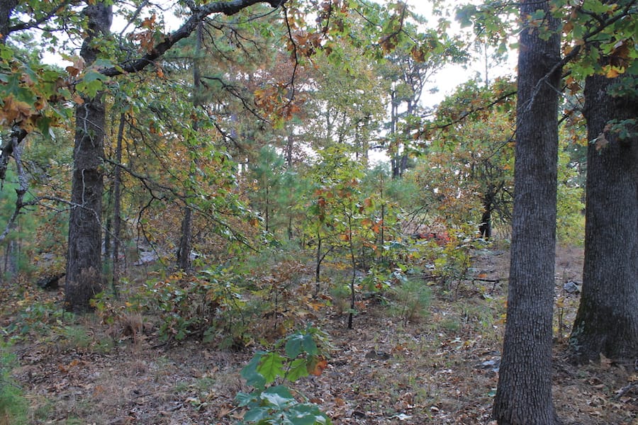 Indian Ridge – Phase III Tract 122 photo 8