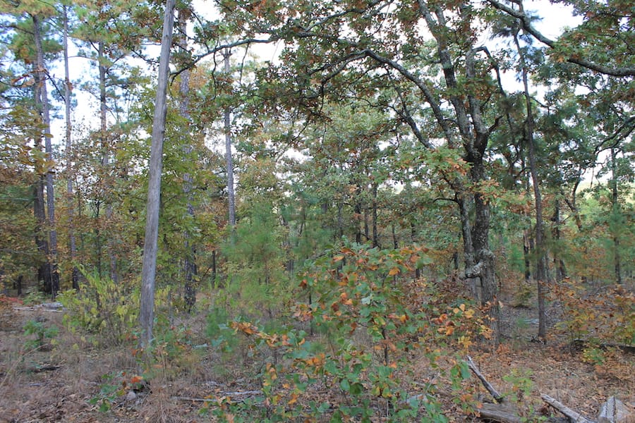 Indian Ridge – Phase III Tract 122 photo 9