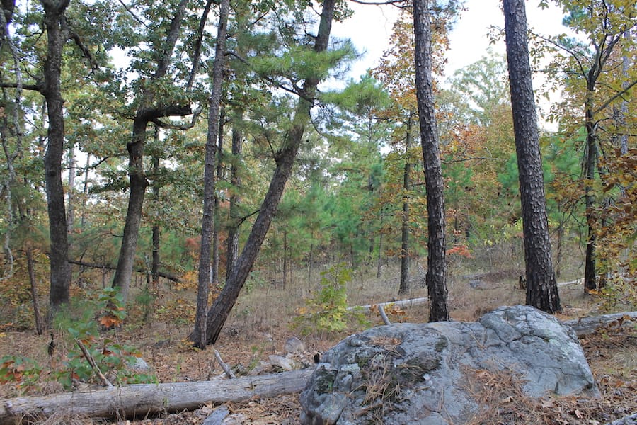 Indian Ridge – Phase III Tract 122 photo 10