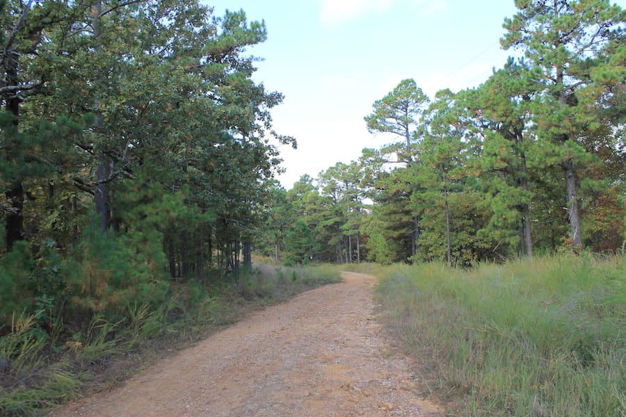 Indian Ridge – Phase III Tract 122 photo 11