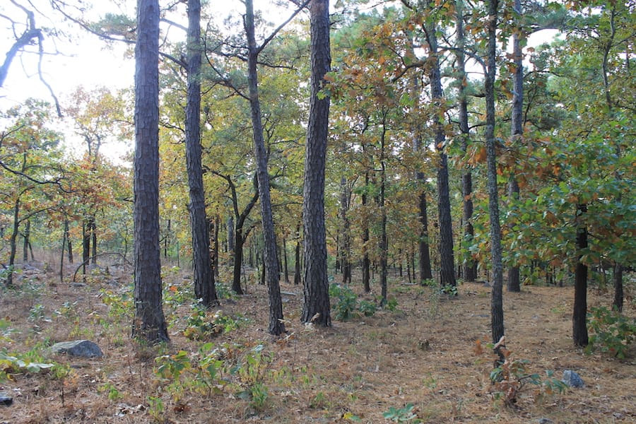 Indian Ridge – Phase III Tract 122 photo 12
