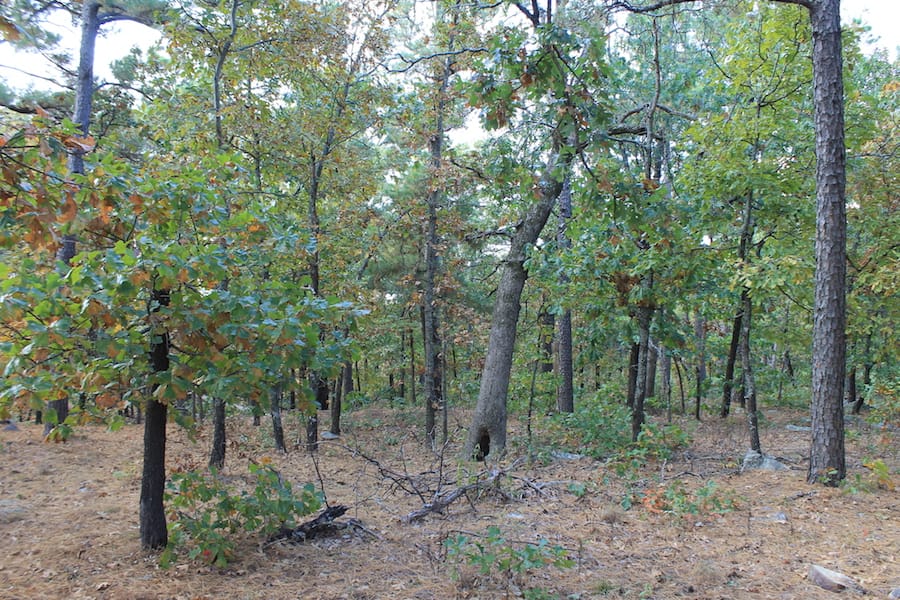 Indian Ridge – Phase III Tract 122 photo 13