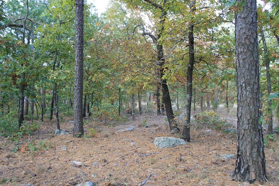 Indian Ridge – Phase III Tract 122 photo 14