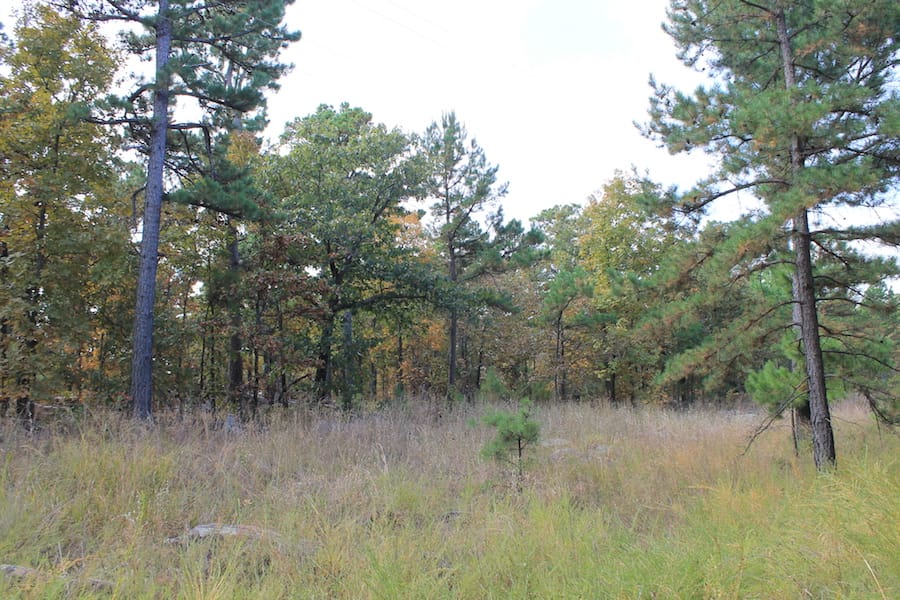 Indian Ridge – Phase III Tract 122 photo 15