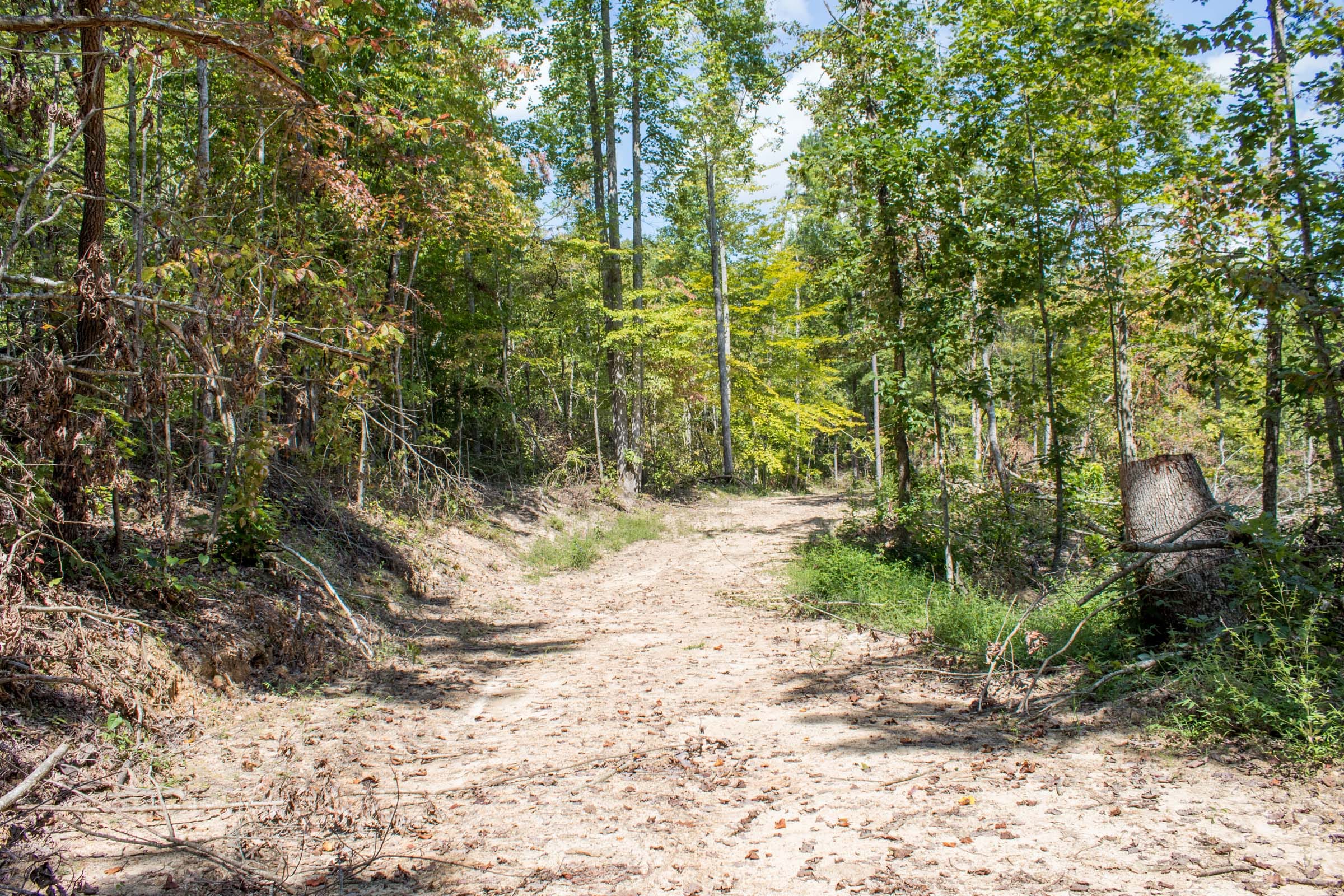 Buck Run Ridge Tract 12 photo 3