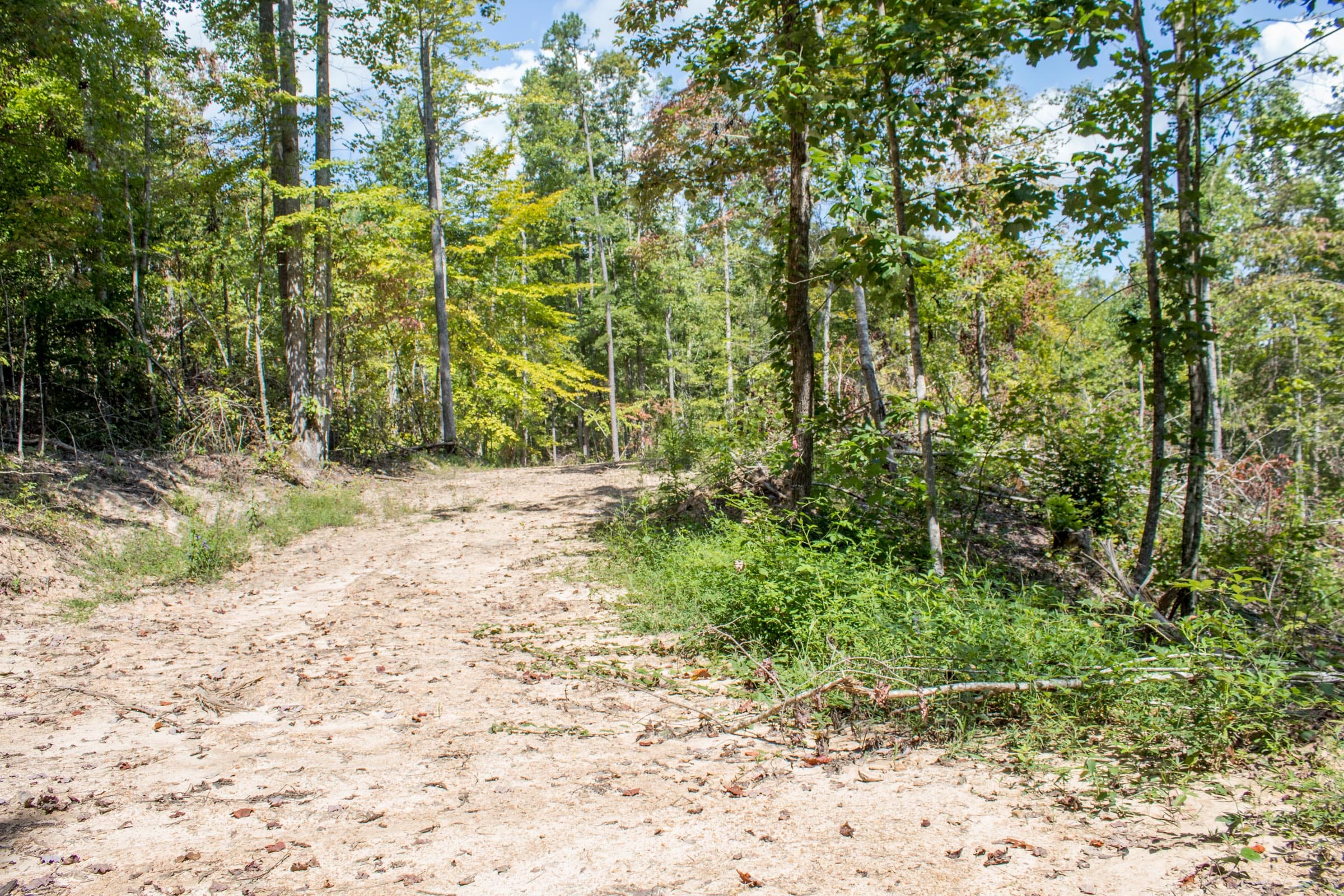 Buck Run Ridge Tract 12 photo 11