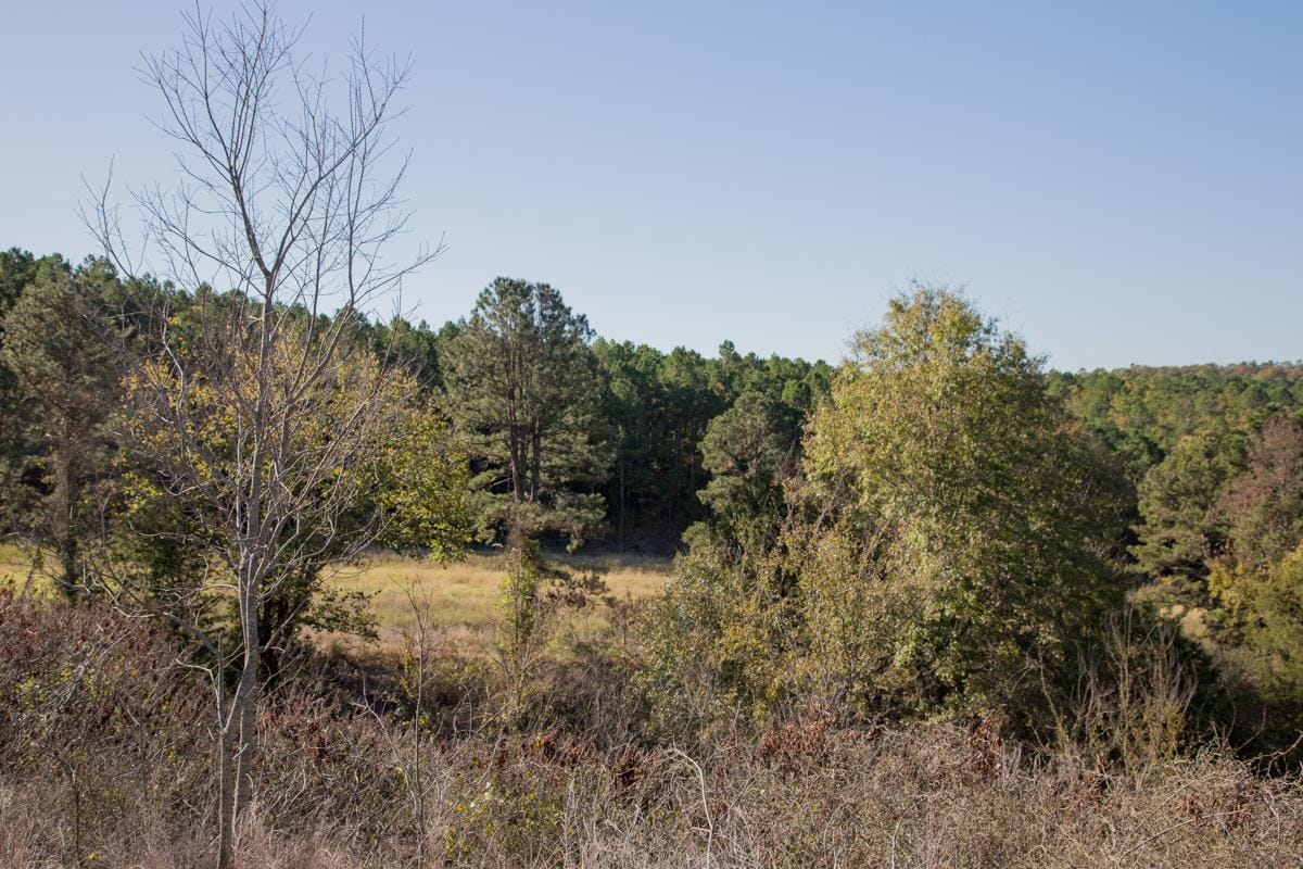 Stone Creek Phase I Tract 189 photo 8