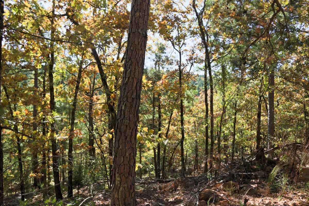 Stone Creek Phase I Tract 189 photo 12
