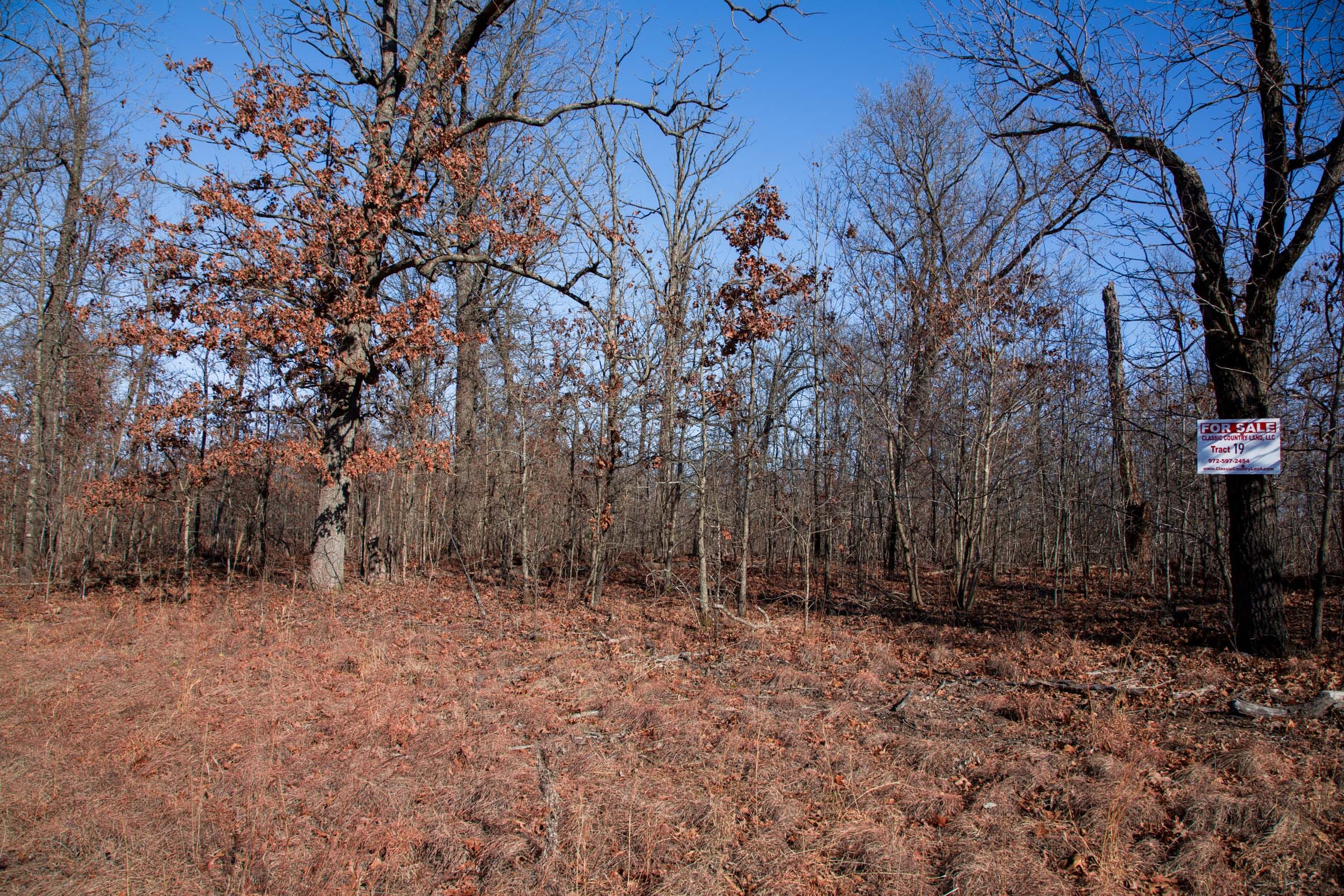 Buffalo Hills Tract 19 photo 2