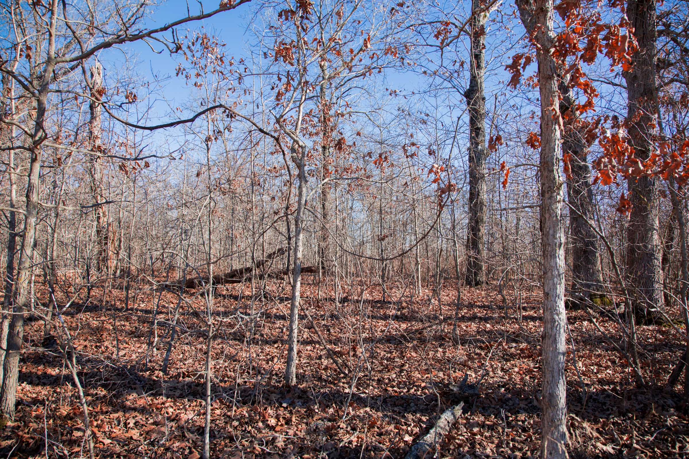 Buffalo Hills Tract 19 photo 3