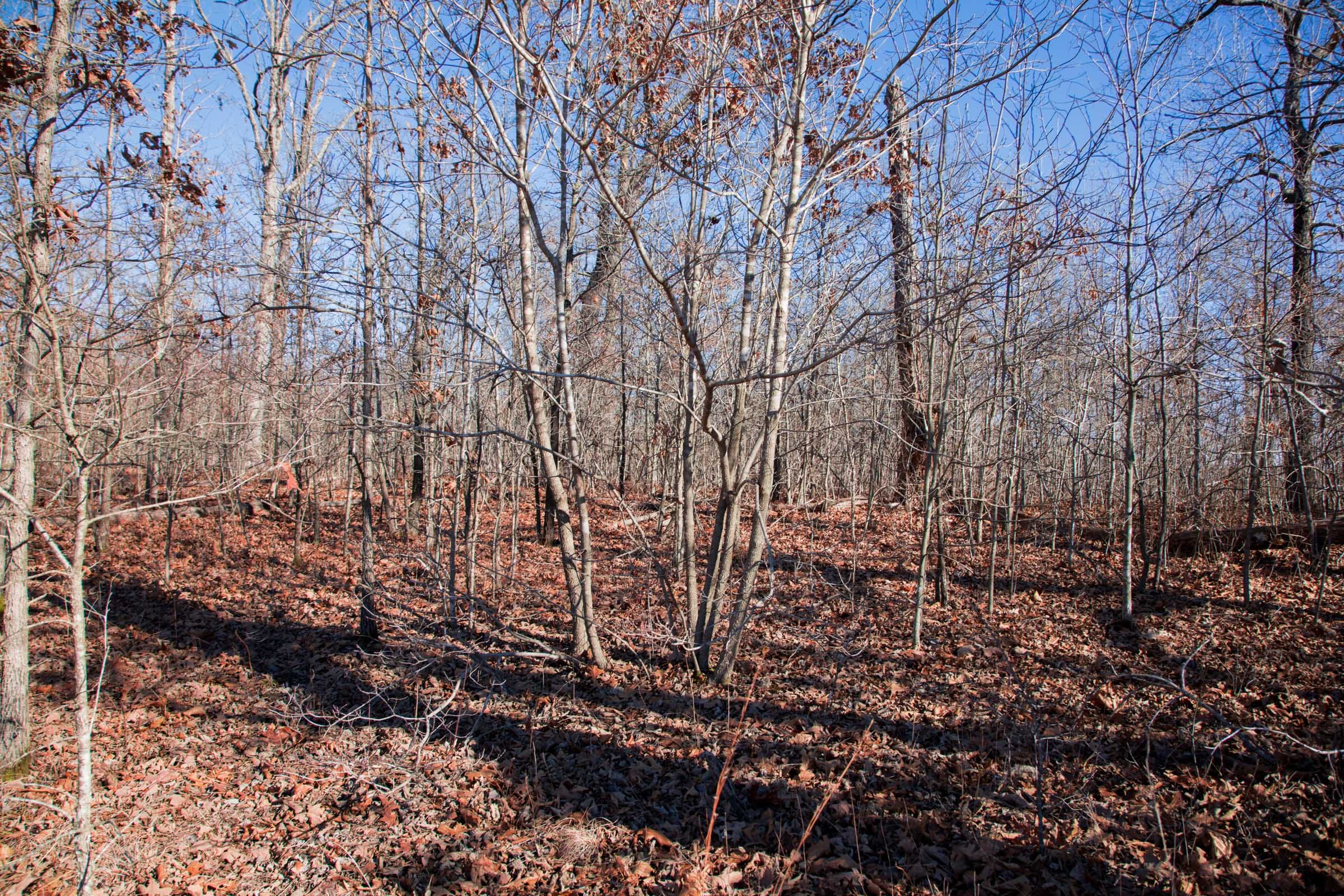 Buffalo Hills Tract 19 photo 4