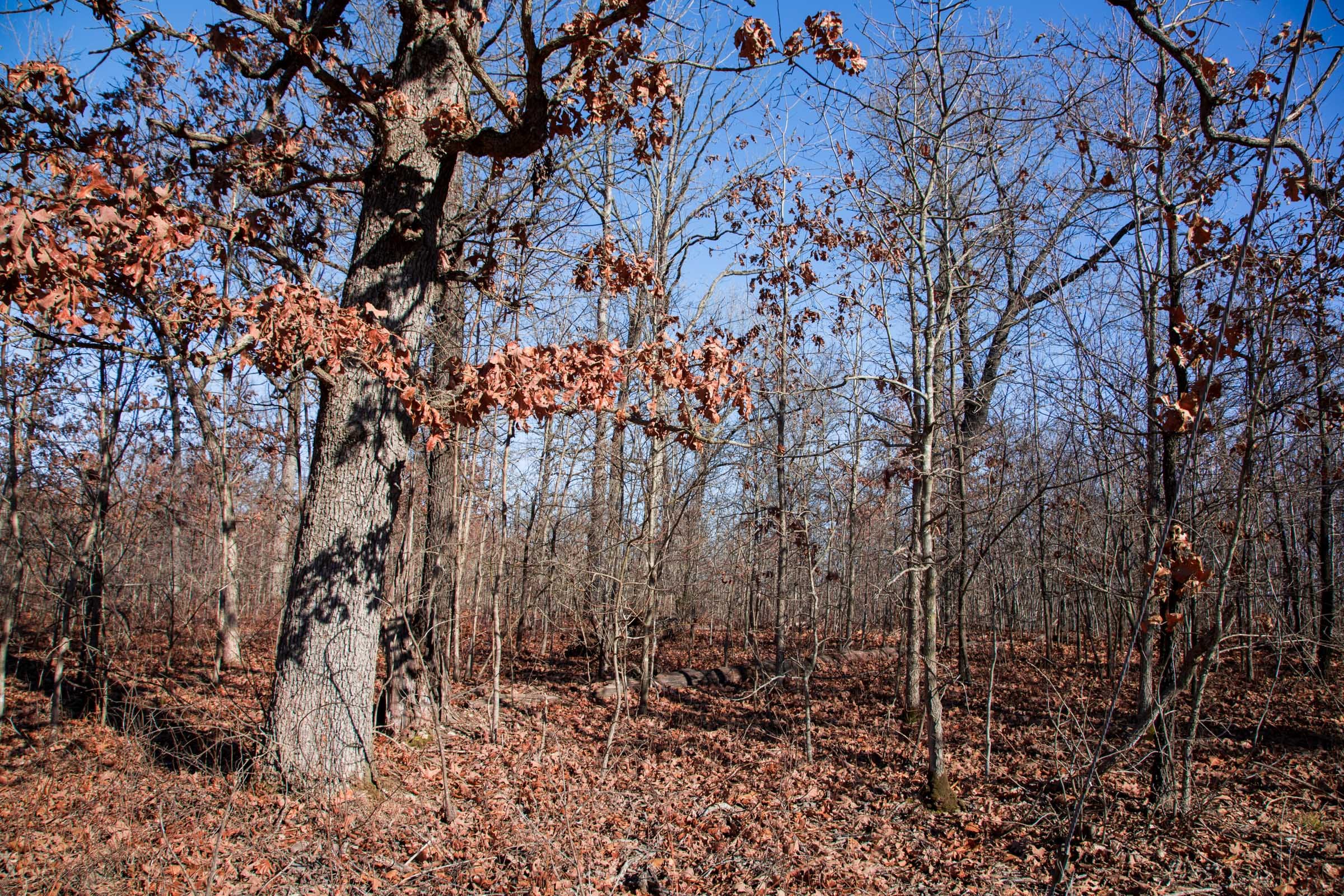 Buffalo Hills Tract 19 photo 5