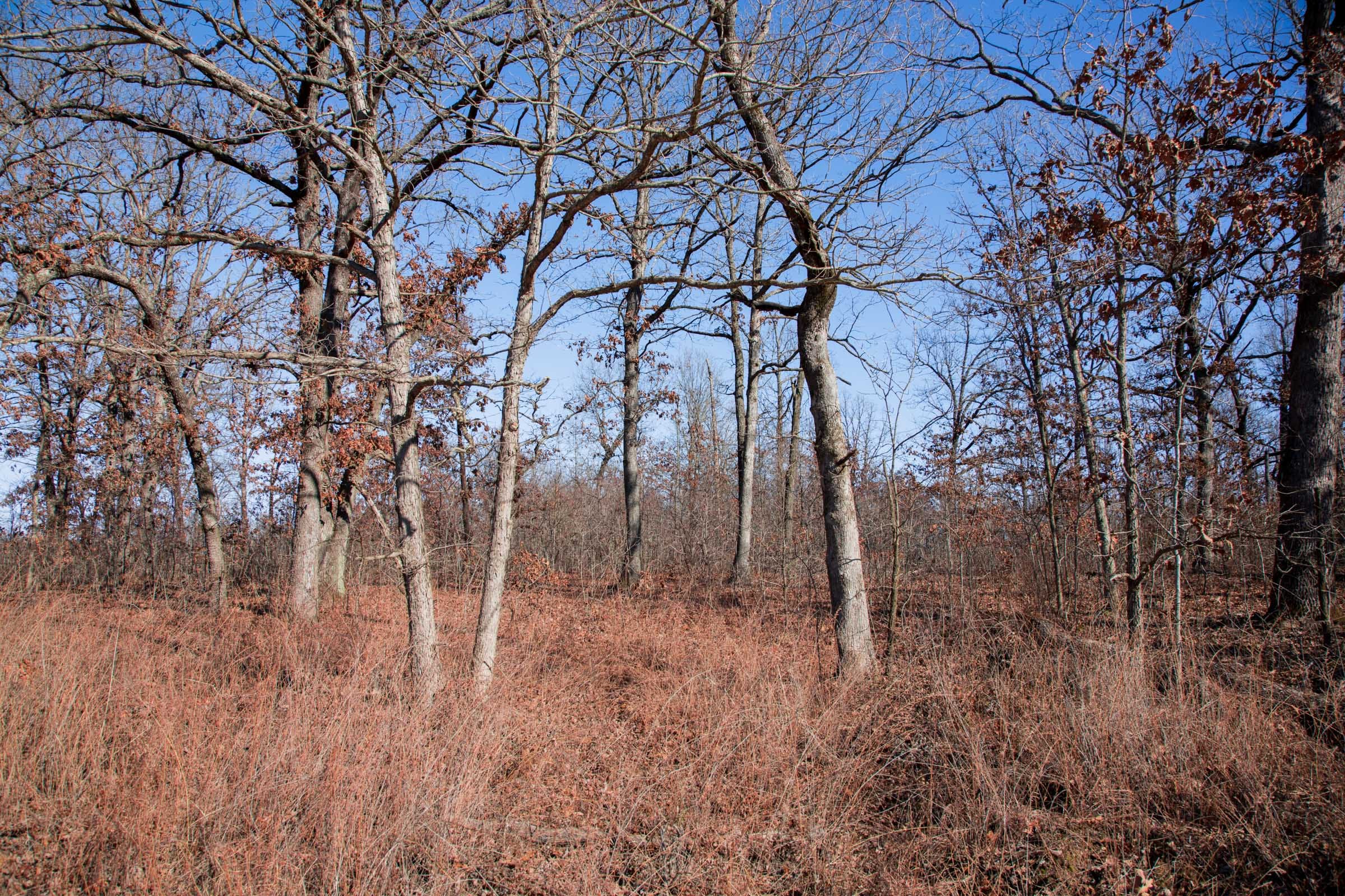 Buffalo Hills Tract 19 photo 6