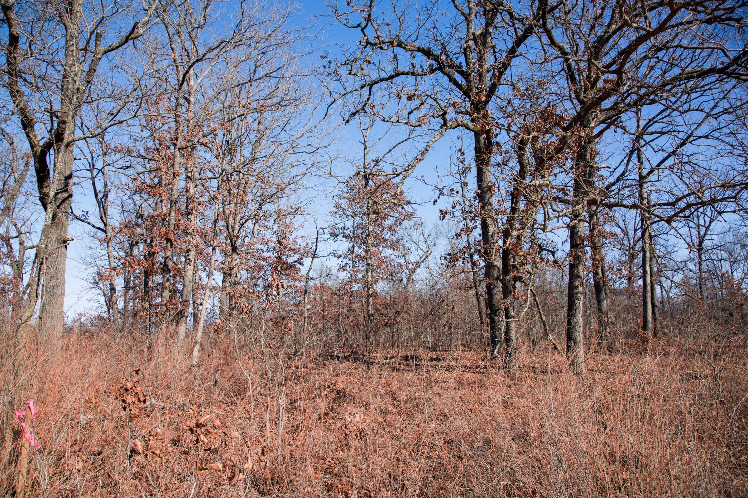 Buffalo Hills Tract 19 photo 7