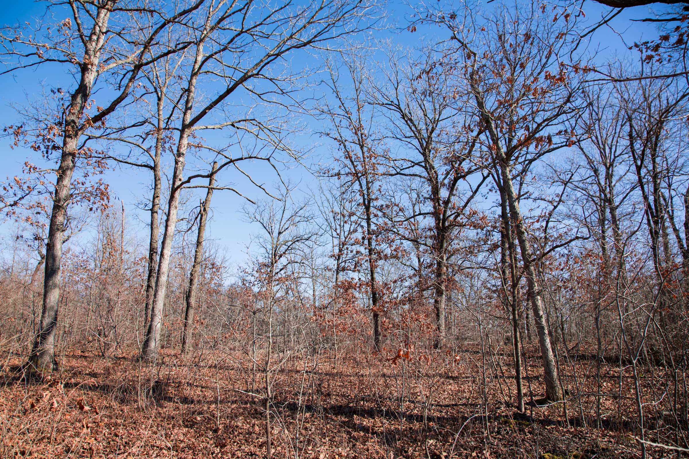 Buffalo Hills Tract 19 photo 8