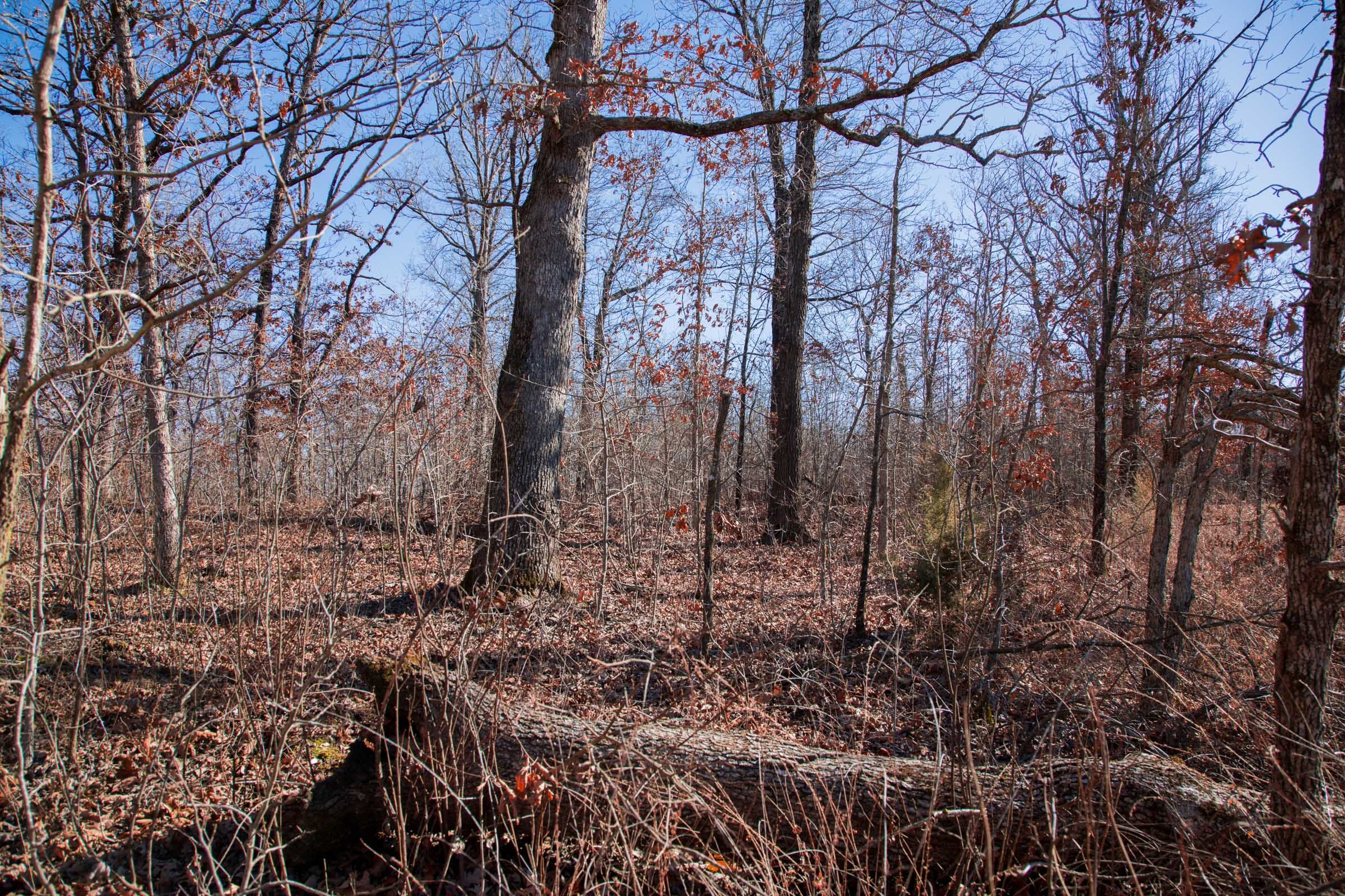 Buffalo Hills Tract 19 photo 10
