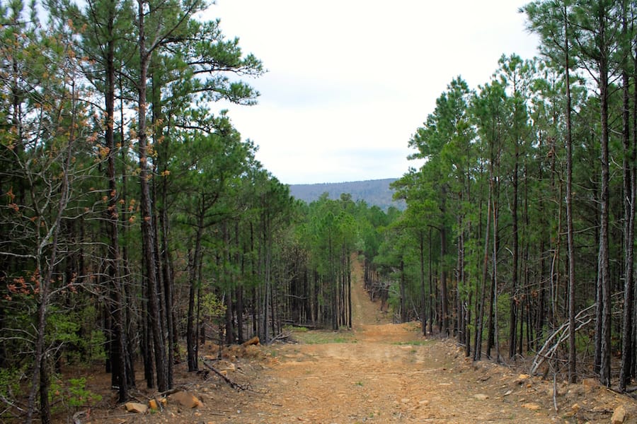Trophy Ridge Phase III Tract 38 photo 8