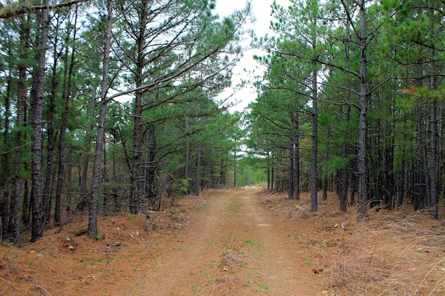 Trophy Ridge Phase III Tract 38 photo 1