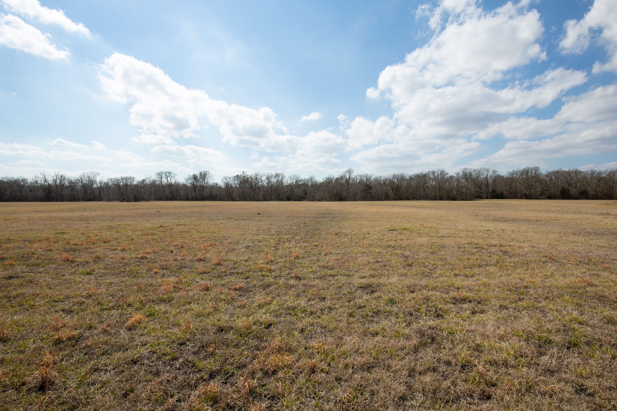 Wishing Star Ranch Tract 96 photo 6