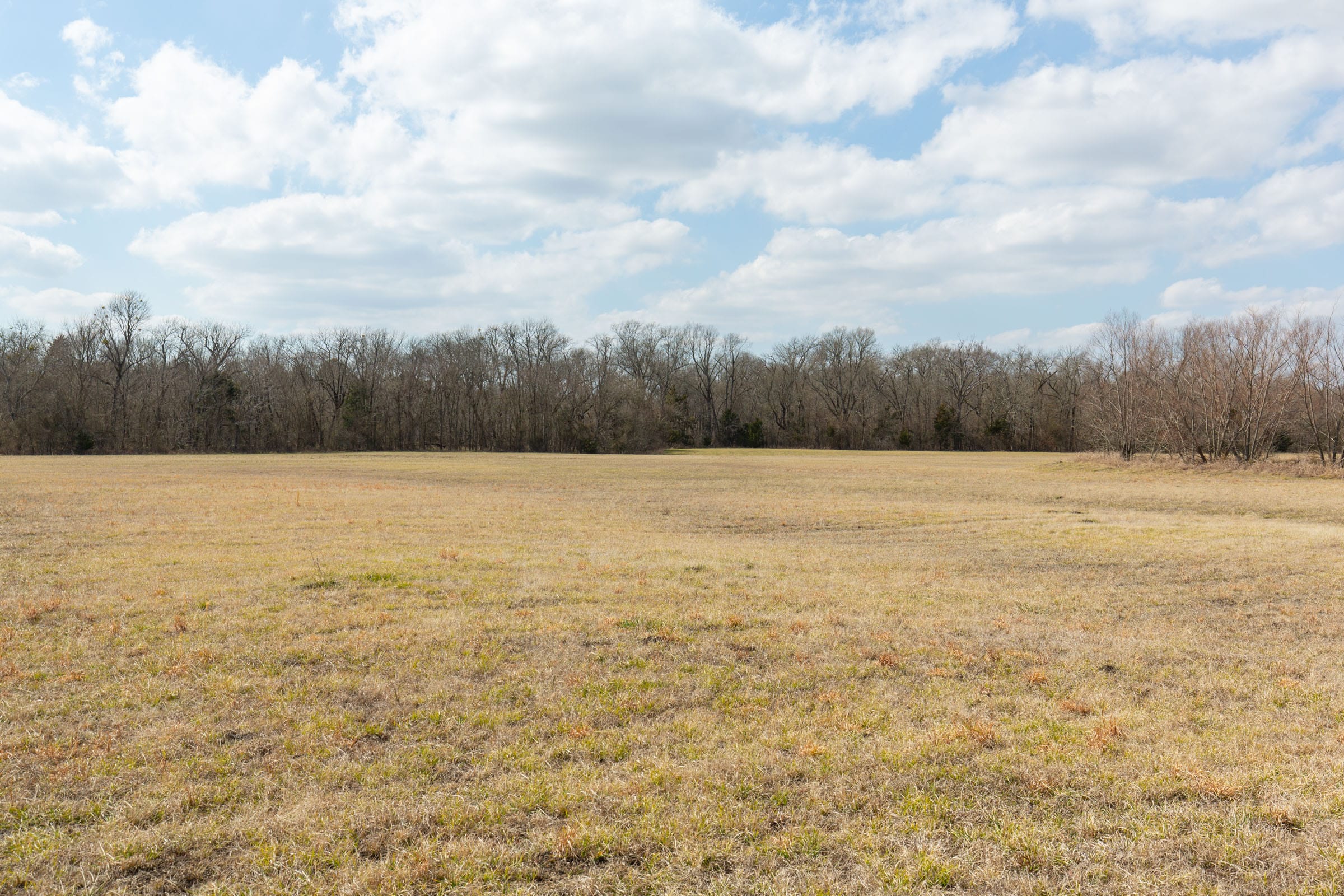 Wishing Star Ranch Tract 96 photo 7