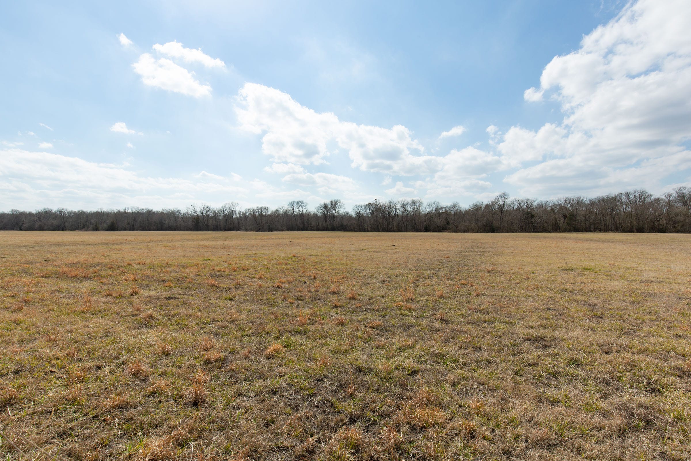 Wishing Star Ranch Tract 96 photo 8