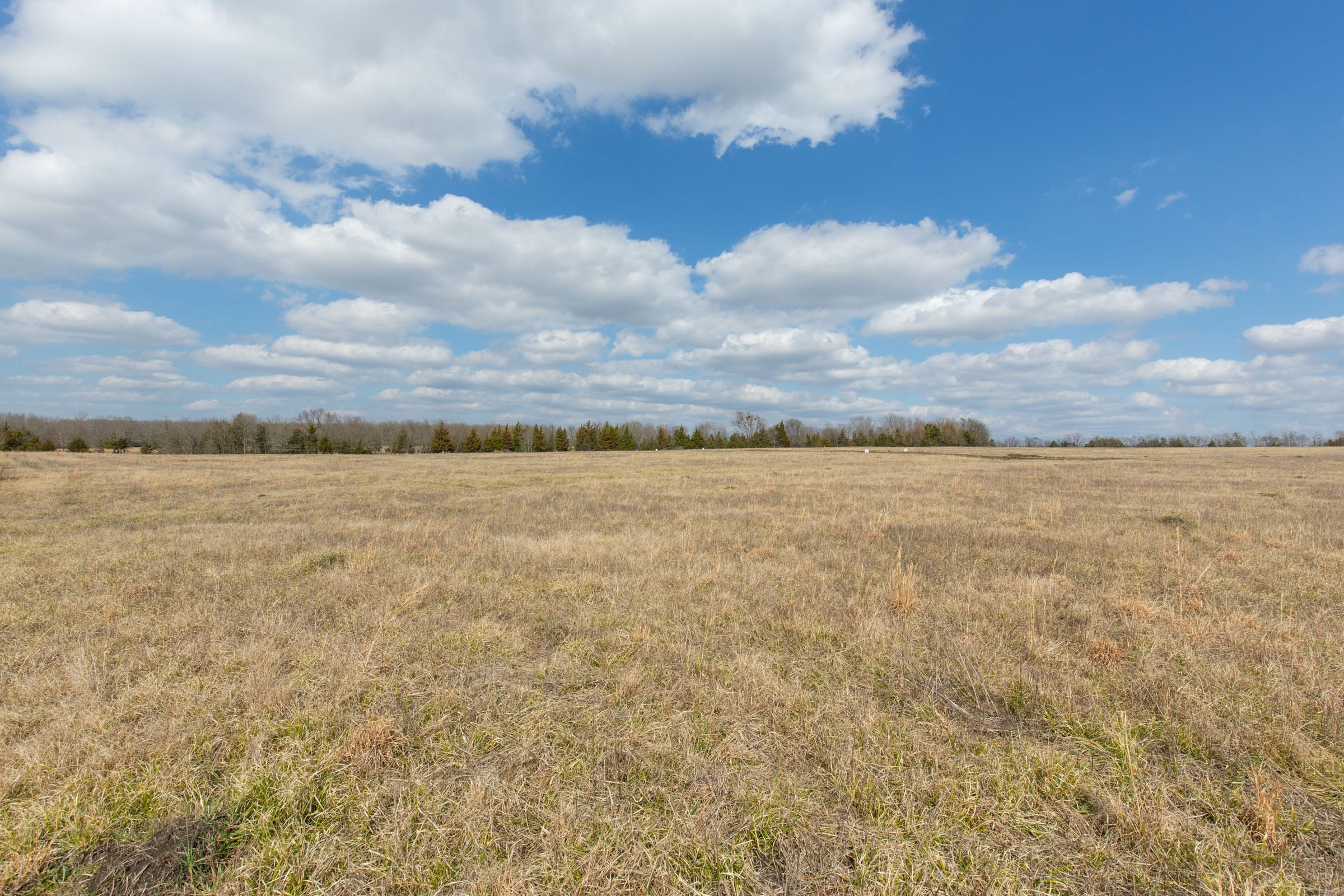 Wishing Star Ranch Tract 96 photo 9