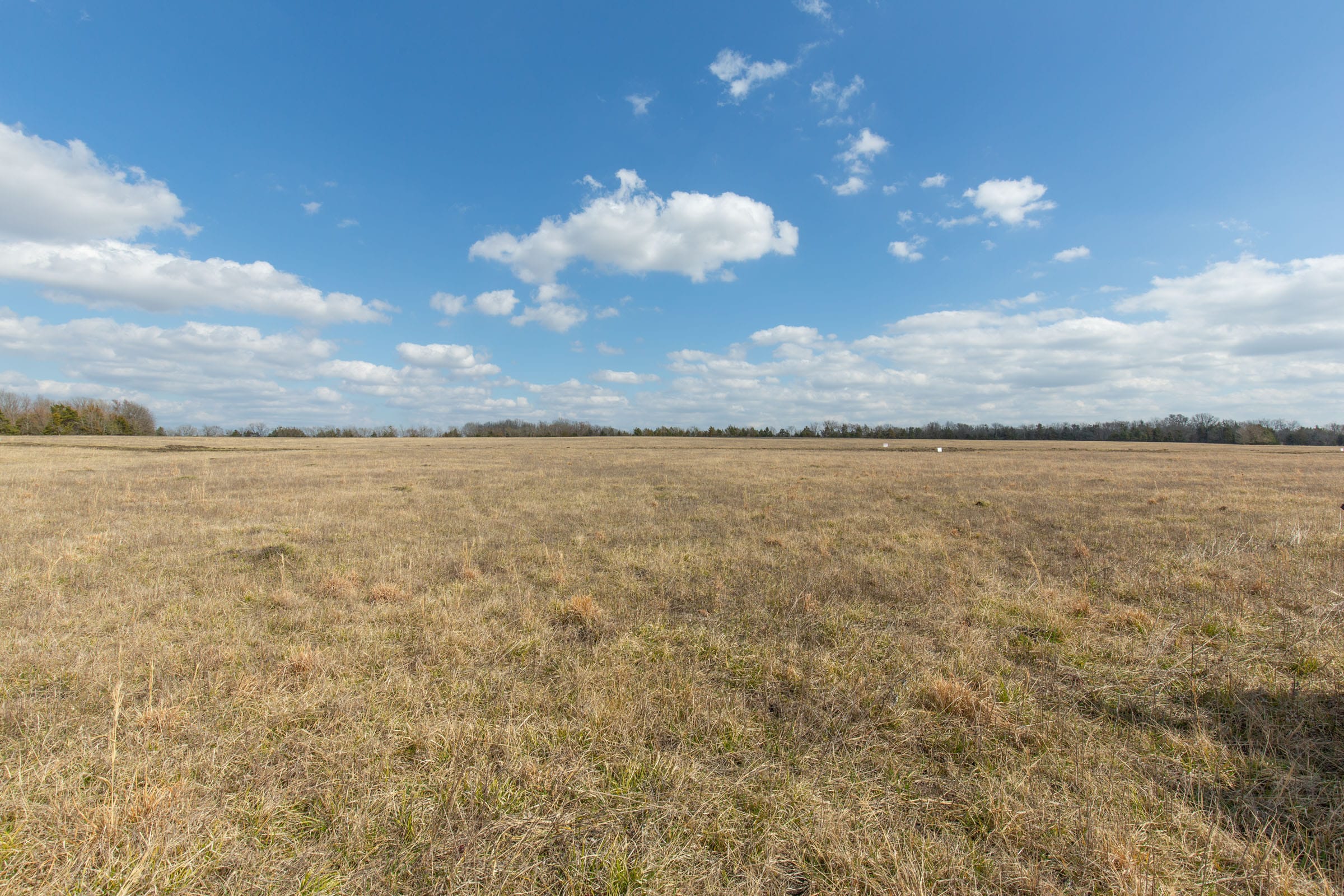 Wishing Star Ranch Tract 96 photo 10