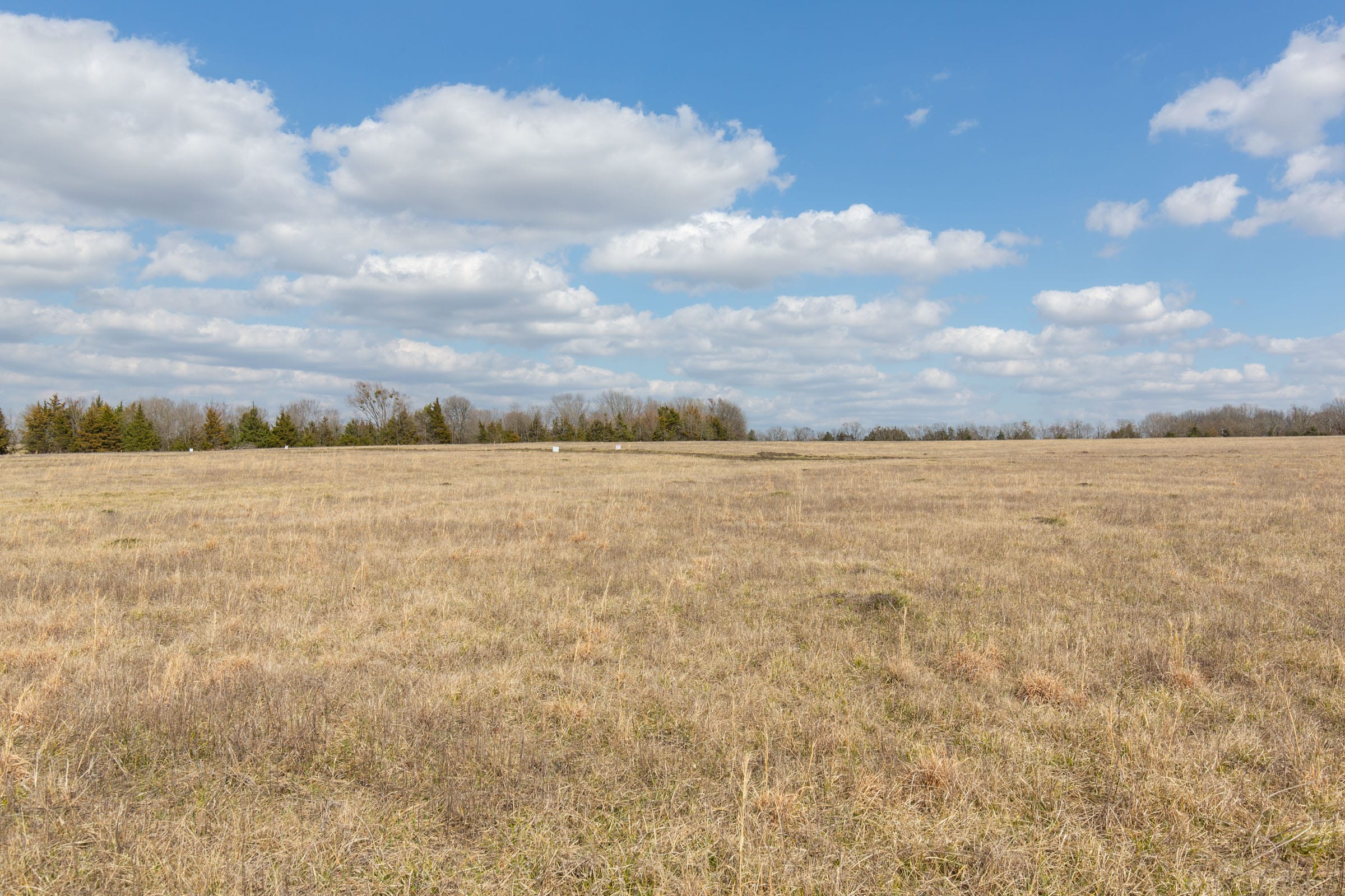 Wishing Star Ranch Tract 96 photo 11