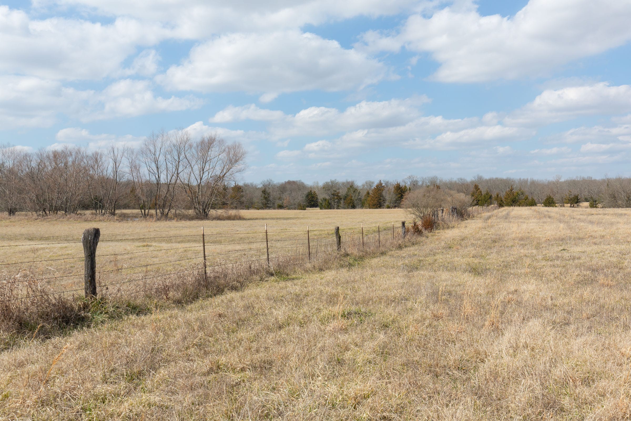 Wishing Star Ranch Tract 96 photo 12